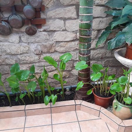 Pension Antonio Guesthouse Alicante Bagian luar foto